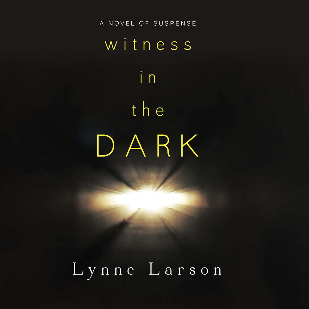 Witness in the Dark, , large