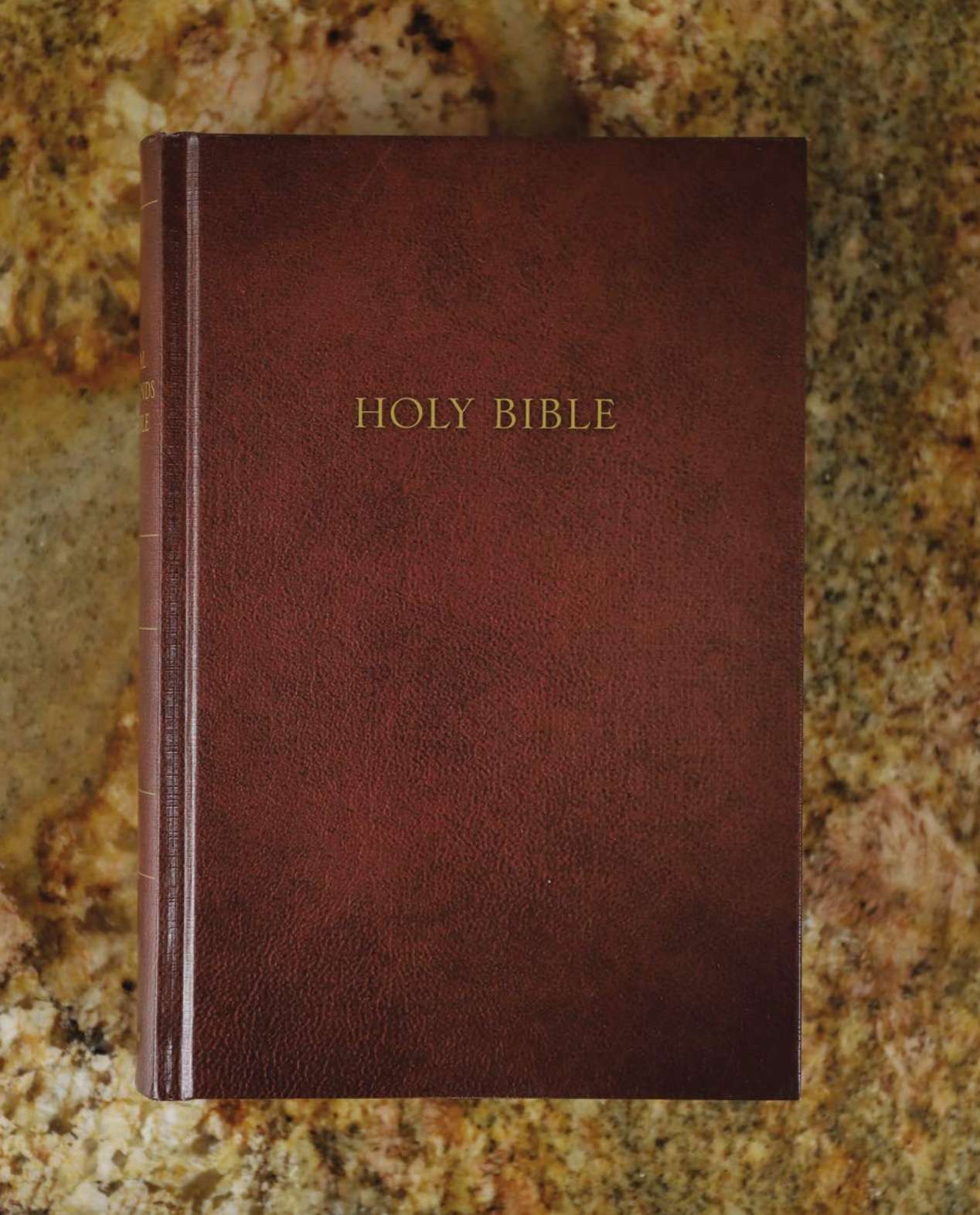 NKV, Cultural Backgrounds Study Bible, , large image number 6