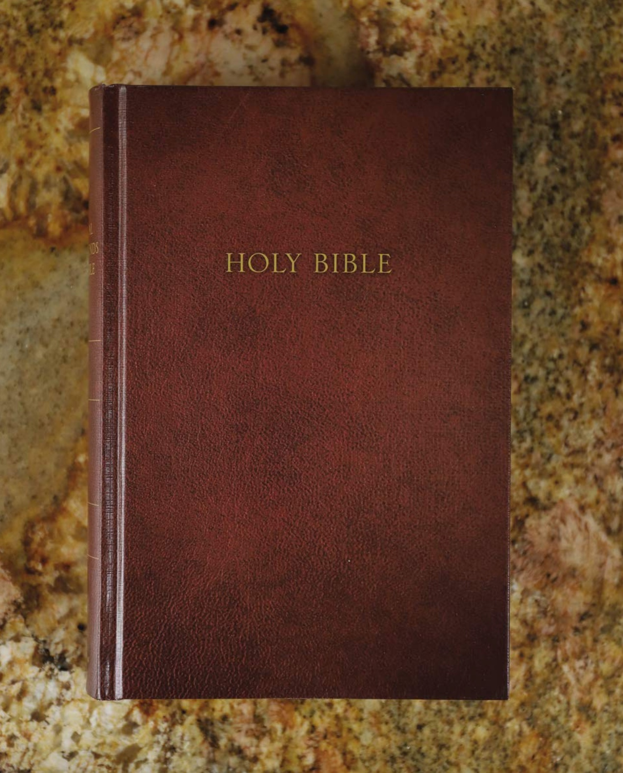 NKV, Cultural Backgrounds Study Bible, , large image number 6