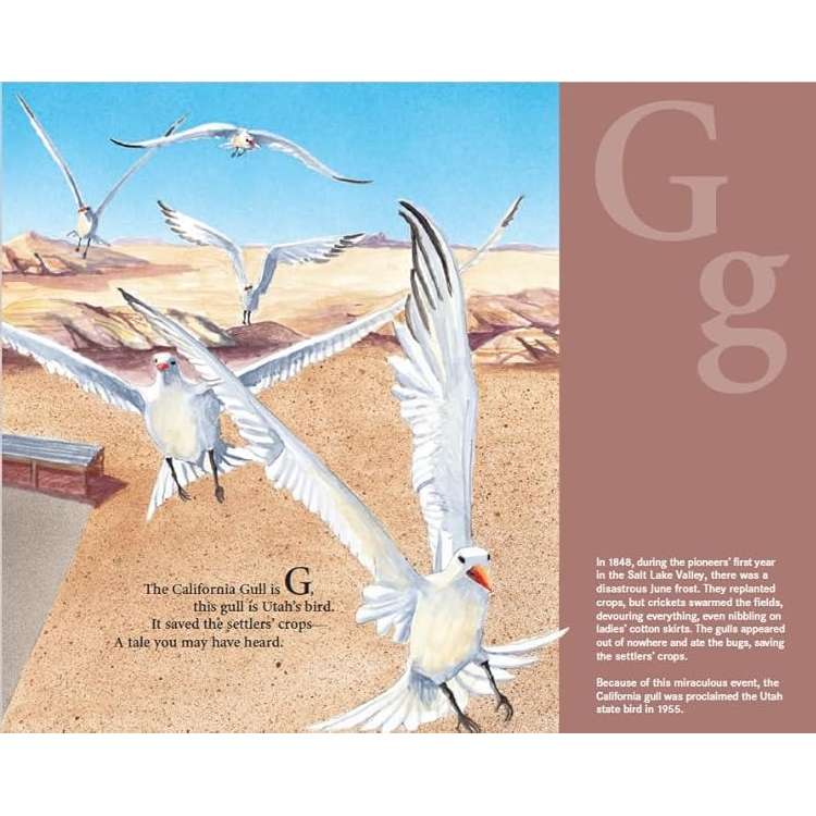 A is for Arches, , large image number 4