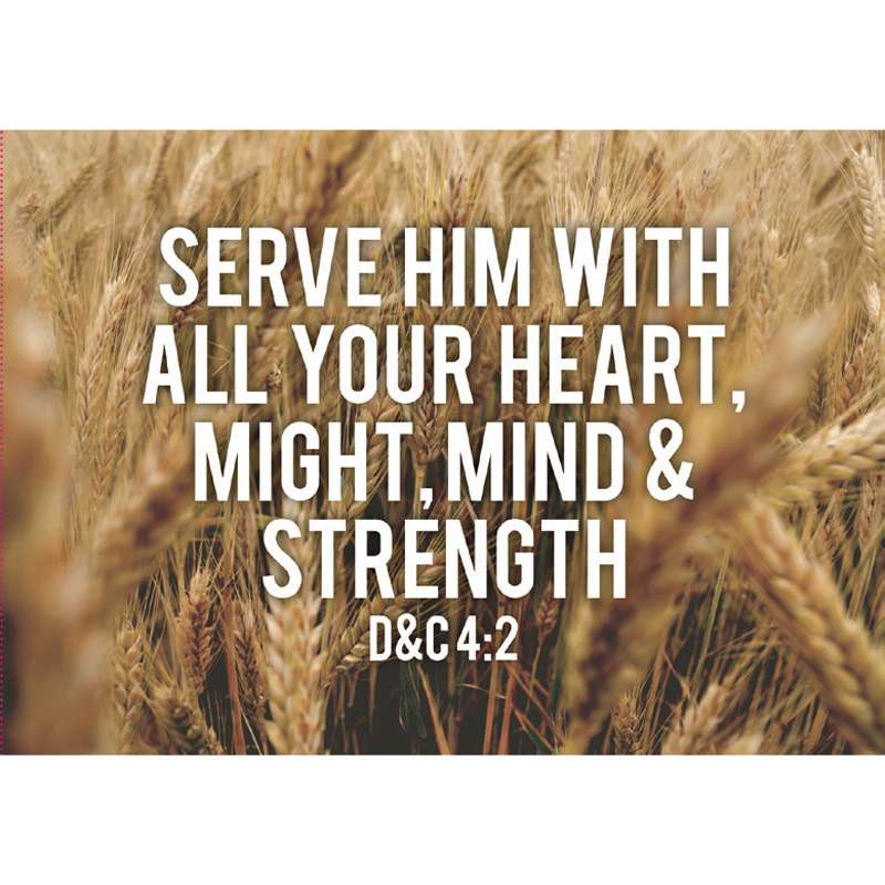 Missionary Postcards, , large image number 2