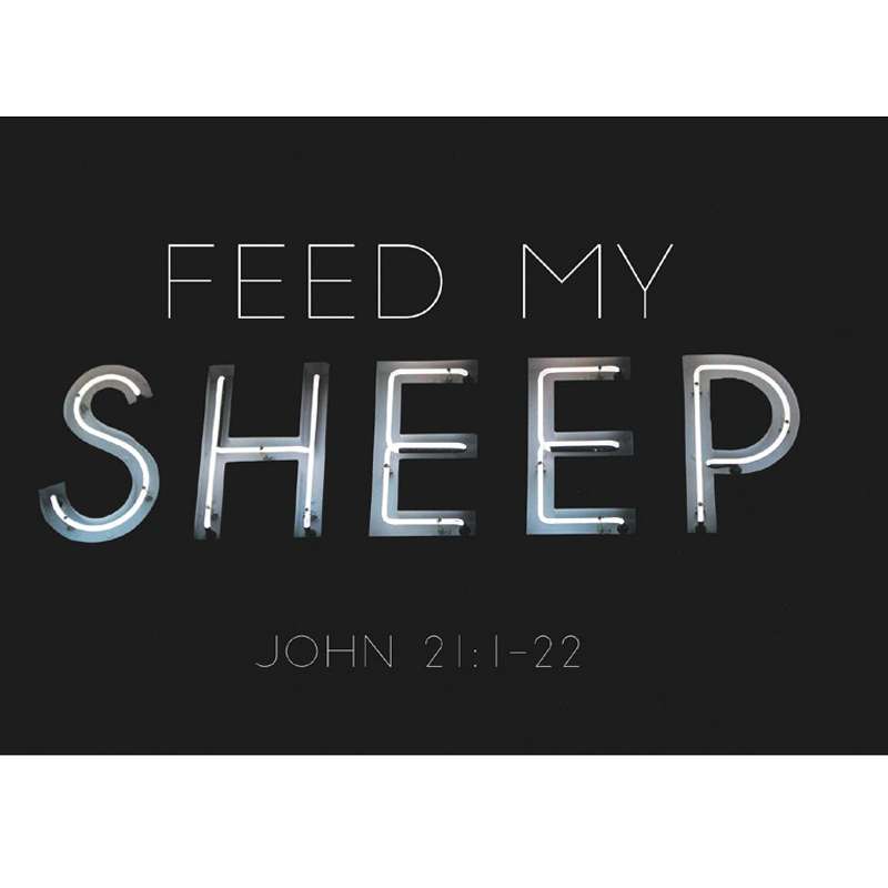 Missionary Postcards, , large image number 3