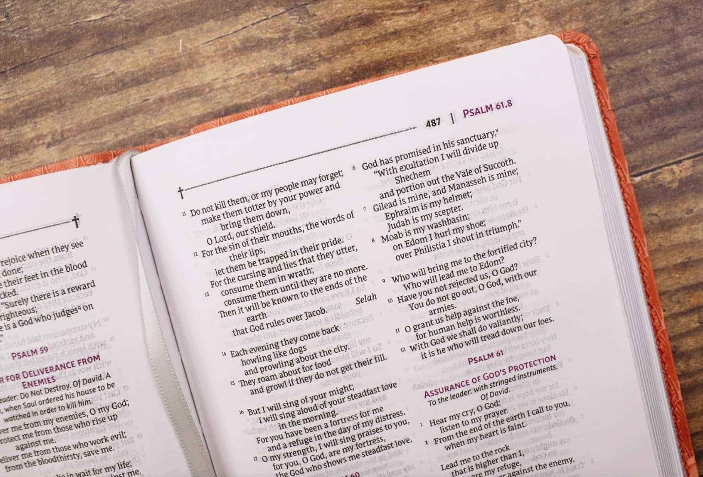 NRSVue, Holy Bible, Compact, Leathersoft, Comfort Print, Peach, , large image number 2