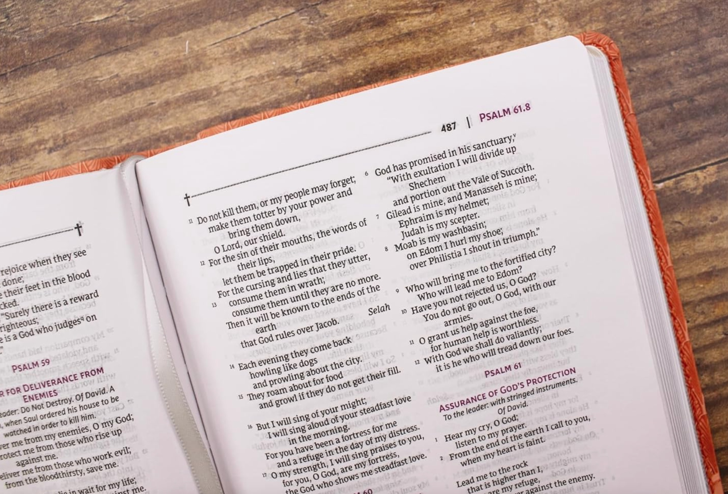 NRSVue, Holy Bible, Compact, Leathersoft, Comfort Print, Peach, , large image number 2