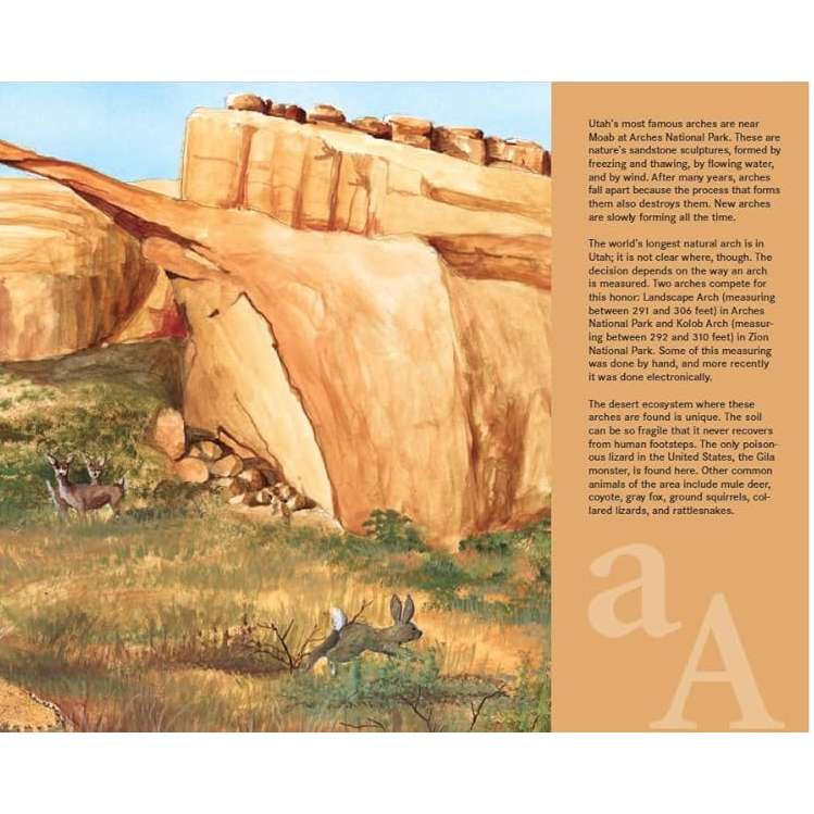 A is for Arches, , large image number 2