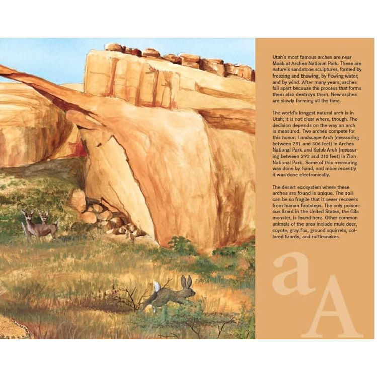 A is for Arches, , large image number 2