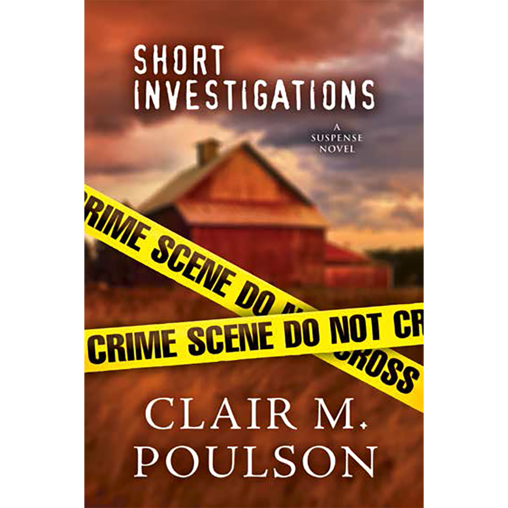 Short Investigations