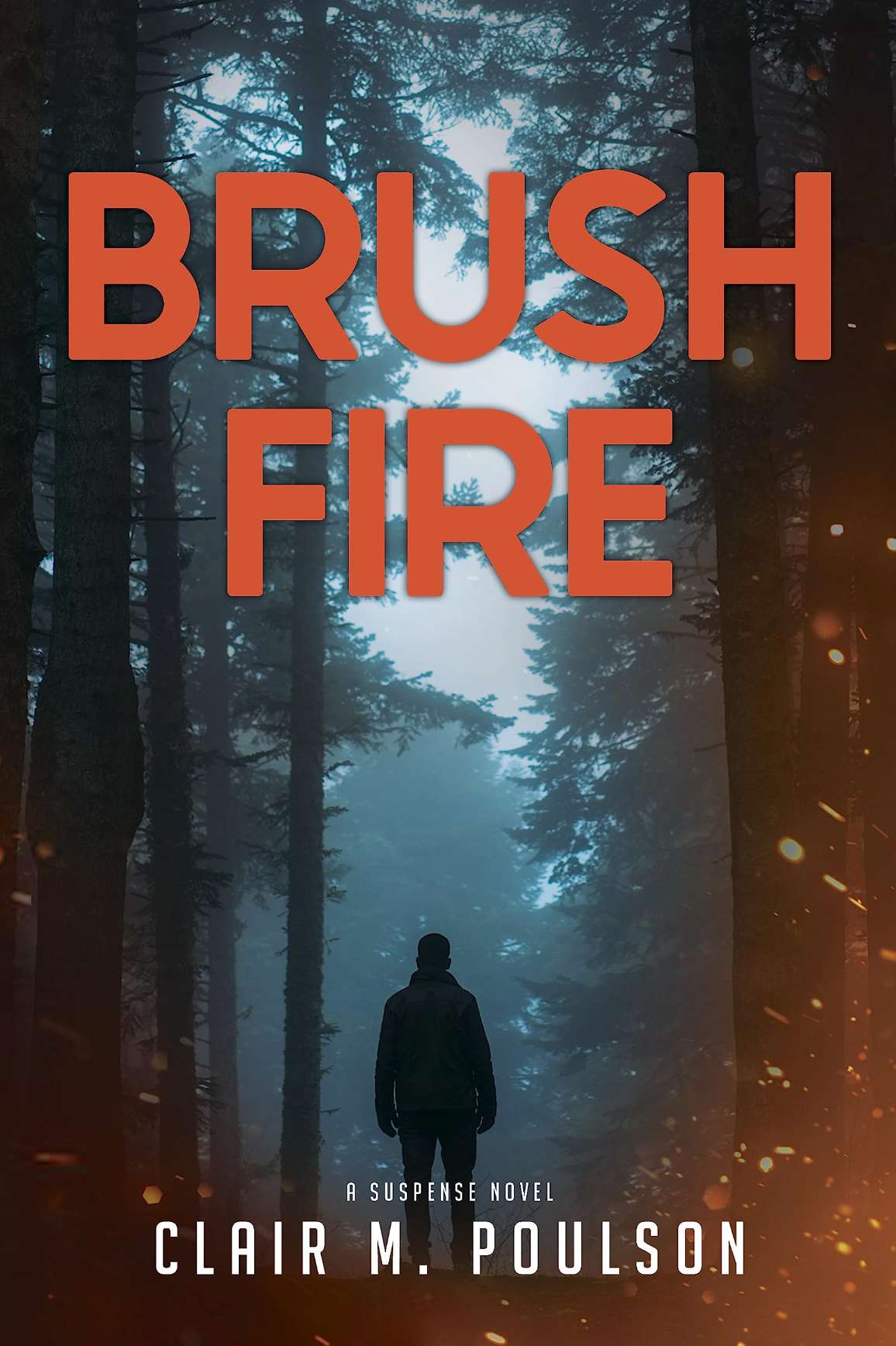 Brush Fire, , large image number 0