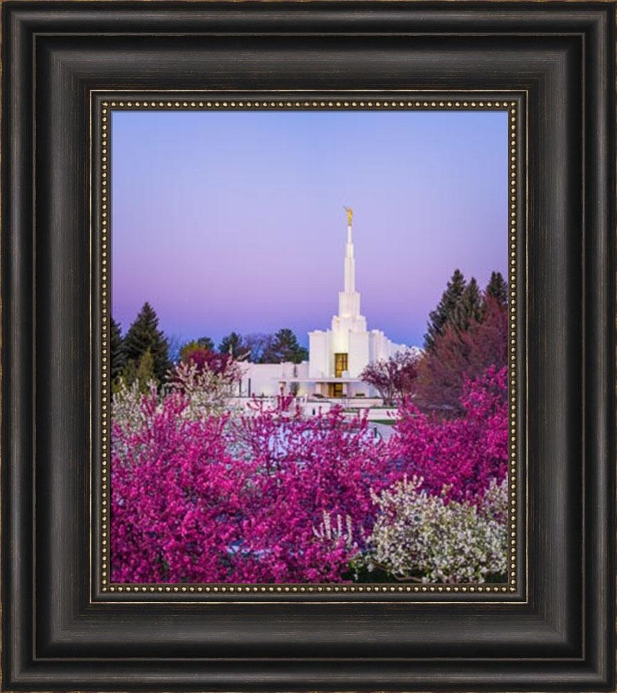 Denver Temple, Colorful Morning (17x20 Framed Art)