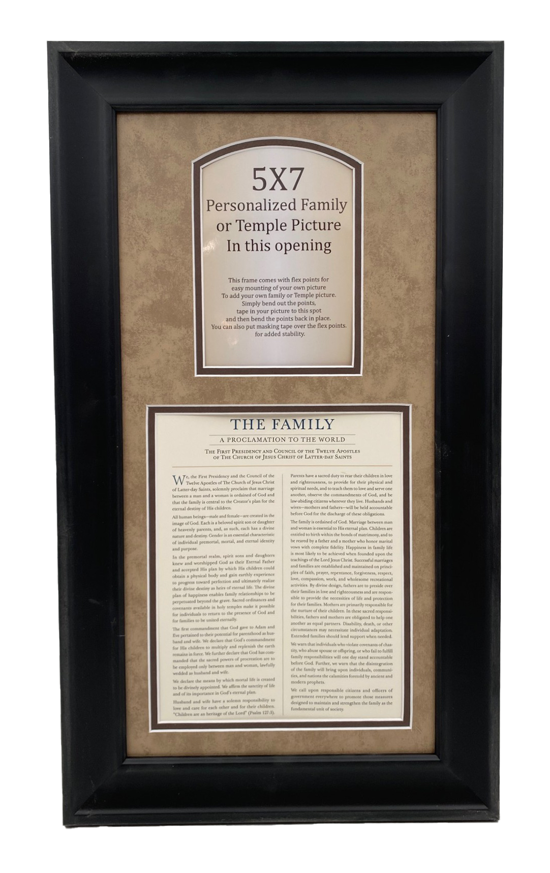 Family Proclamation (10X20 Vertical Framed Art)