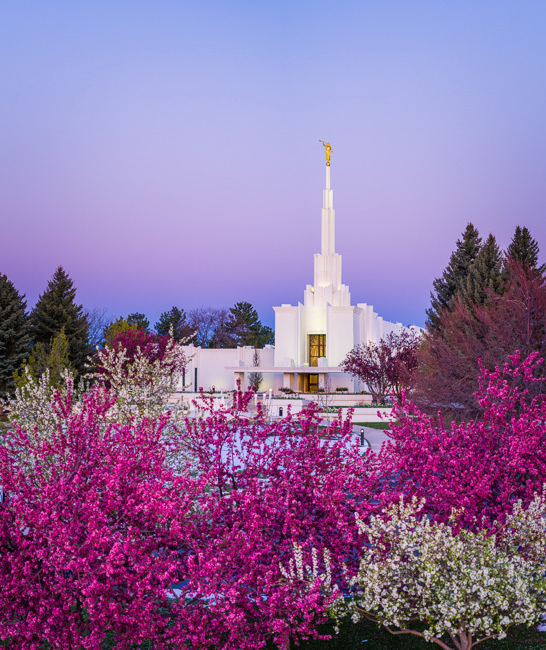 Denver Temple, Colorful Morning (17x20 Framed Art), , large
