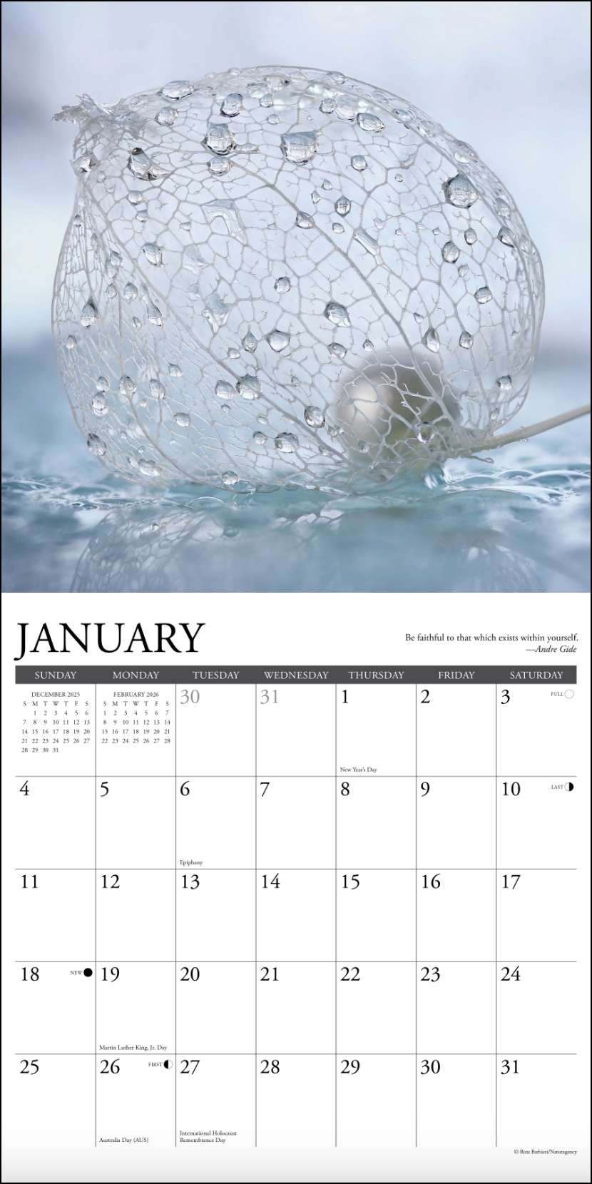 2026 Inspirations Wall Calendar, , large image number 1