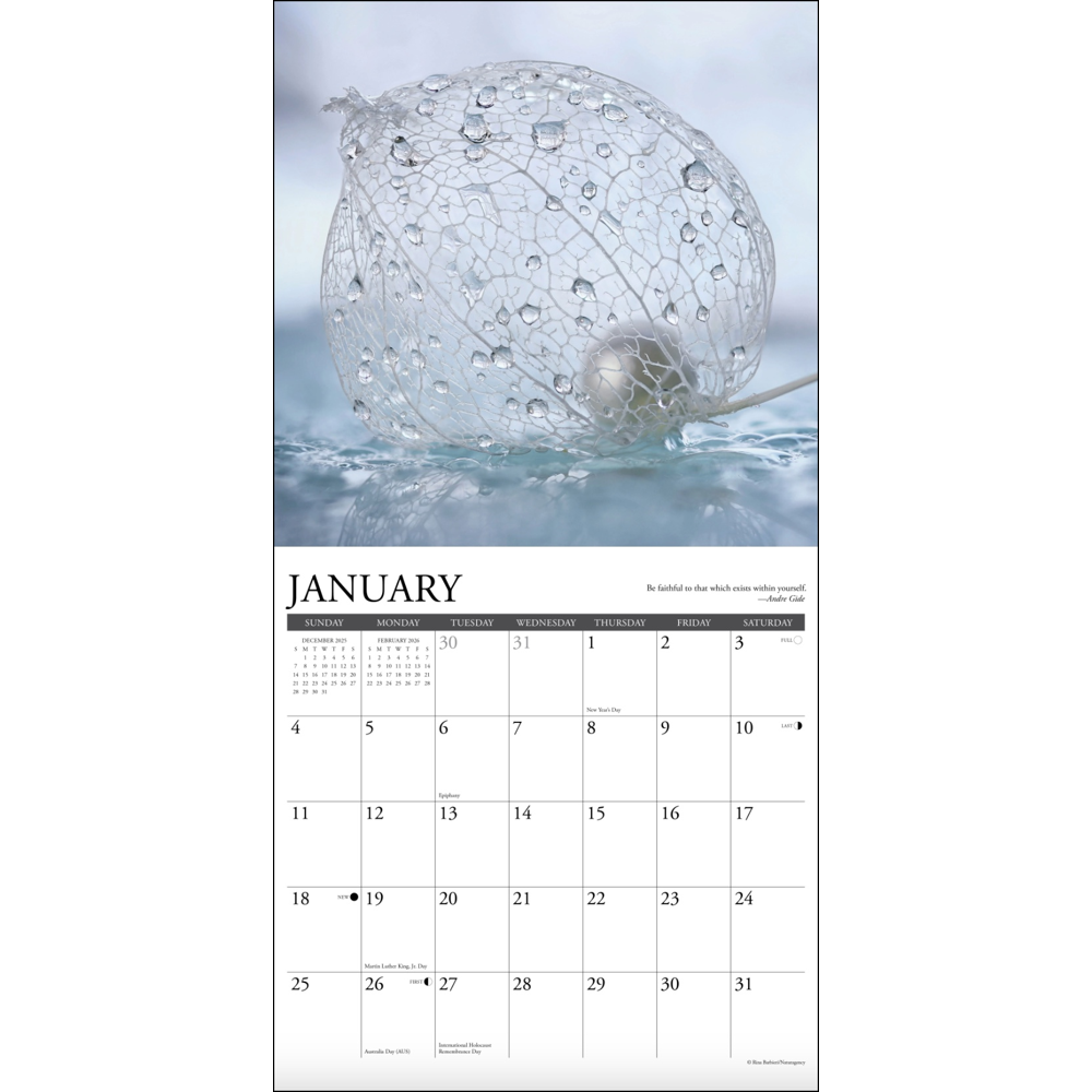 2026 Inspirations Wall Calendar, , large