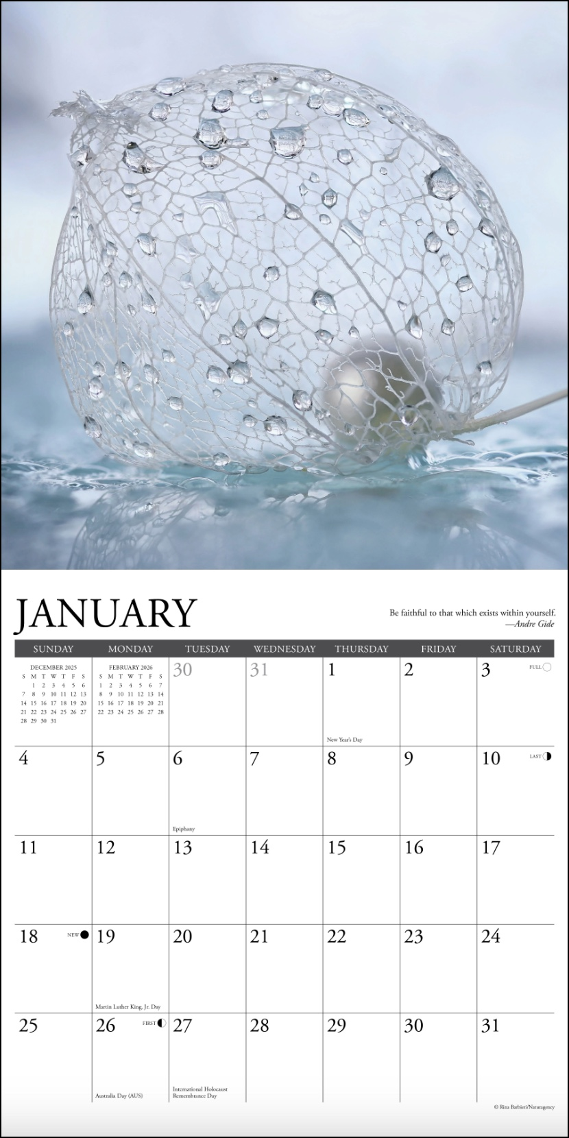 2026 Inspirations Wall Calendar, , large