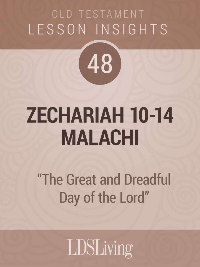 Lesson Insights Old Testament #48