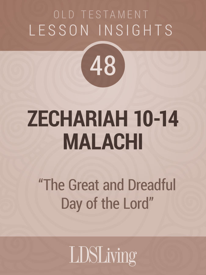 Lesson Insights Old Testament #48