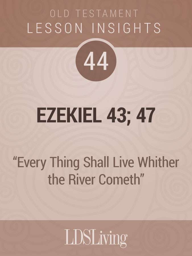 Lesson Insights Old Testament #44