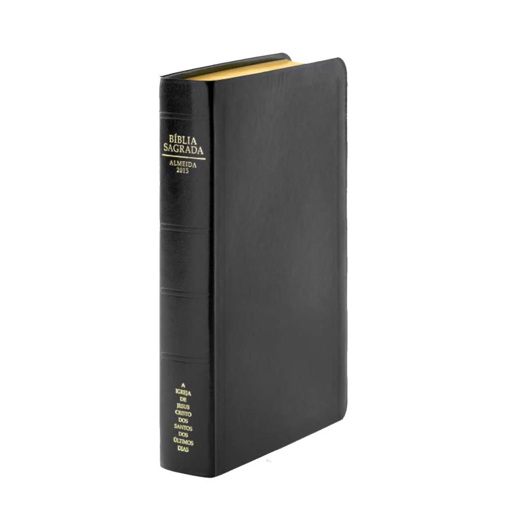 Portuguese Holy Bible, Simulated Leather Regular, Indexed