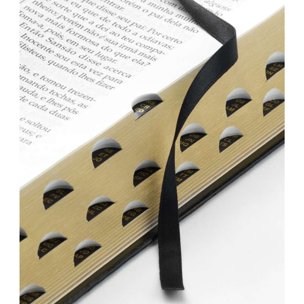 Portuguese Holy Bible, Simulated Leather Regular, Indexed, , large