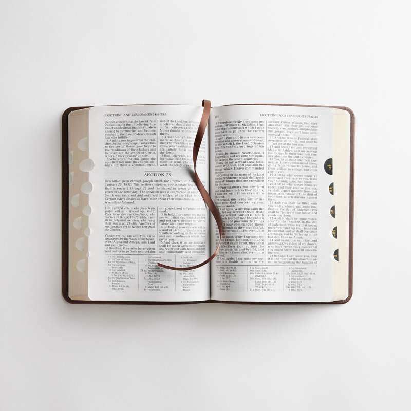 Simulated Leather Triple Combination, Regular (Color Options), , large image number 3