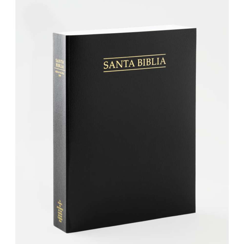 Spanish Holy Bible, Economy Extra Large, Unindexed