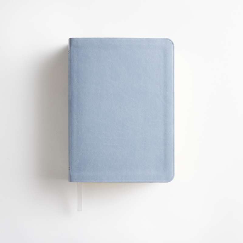 Simulated Leather Holy Bible, Regular (Color Options), , large image number 11