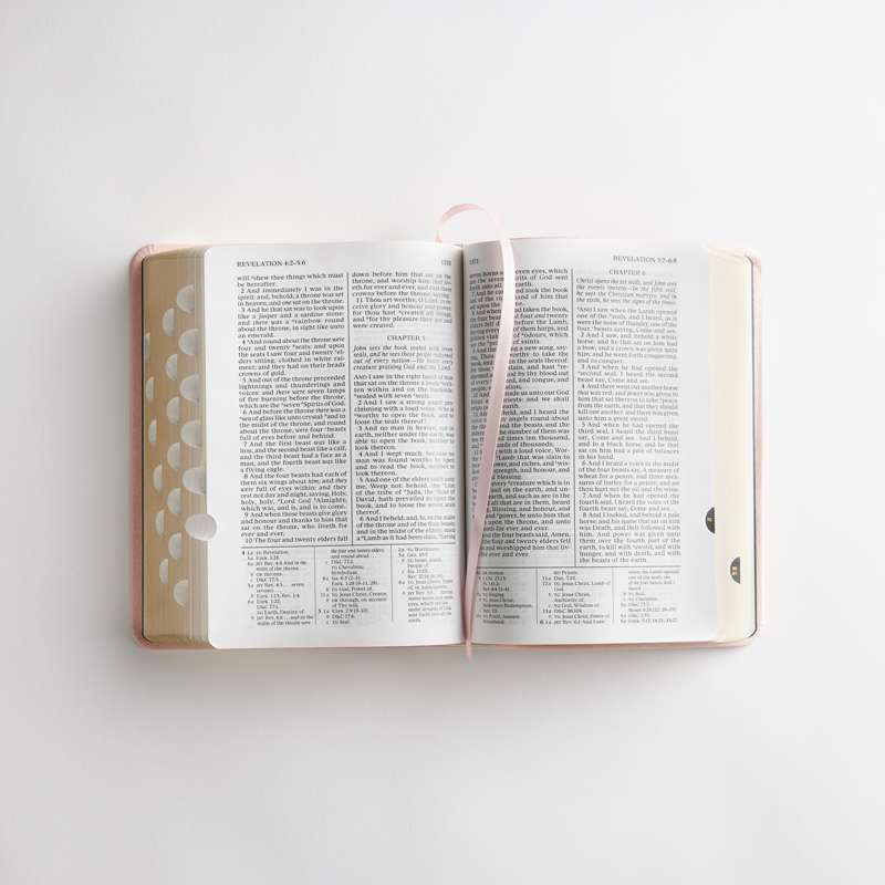 Simulated Leather Holy Bible, Regular (Color Options), , large image number 4