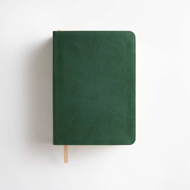 Simulated Leather Holy Bible, Regular (Color Options), , large image number 12