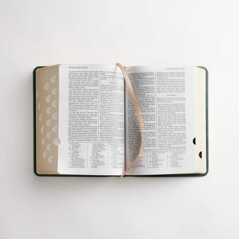 Simulated Leather Holy Bible, Regular (Color Options), , large image number 3