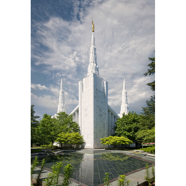 Portland Temple Reflection Pool (12x19 Framed Art)