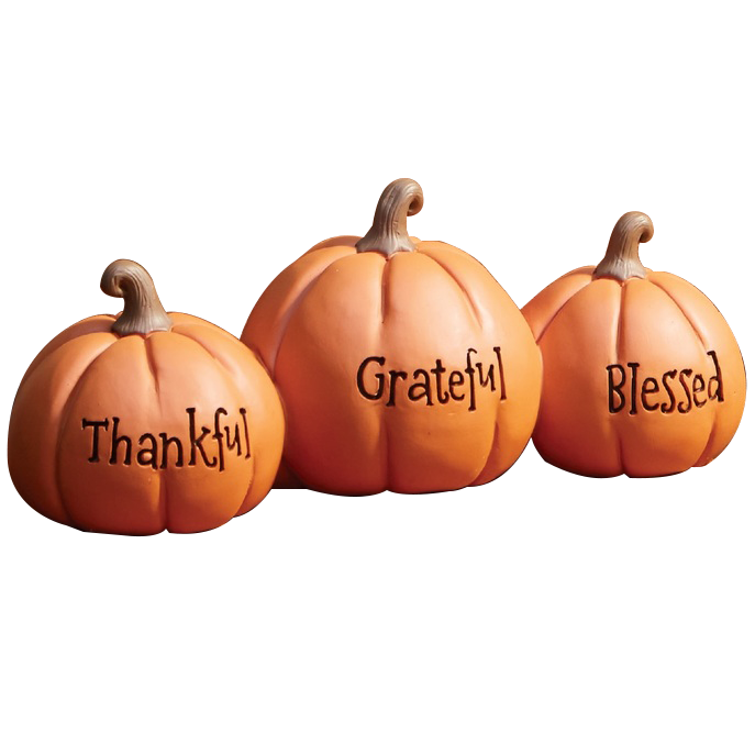 Thankful Grateful Blessed Pumpkins