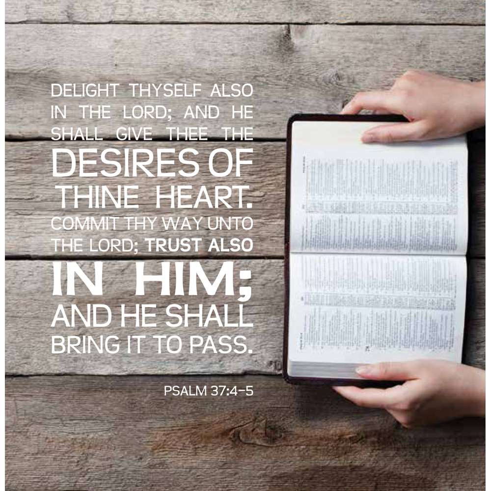 Nephi's Handbook for a Happy Life 3