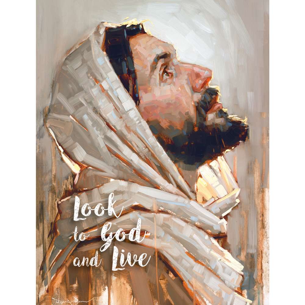 Look to God and Live Mini 3x4 Picture Pack