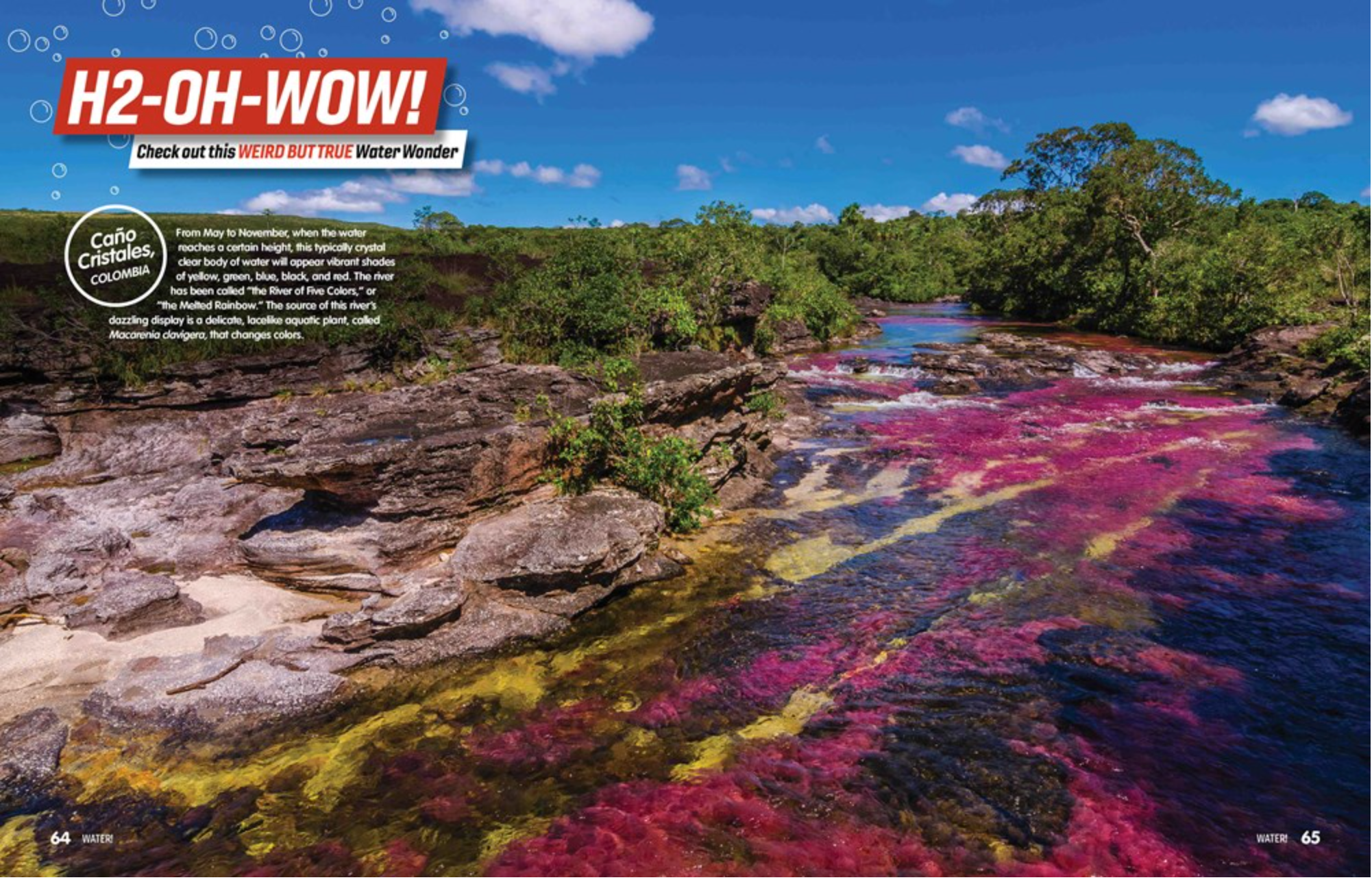 WATER!, , large image number 2