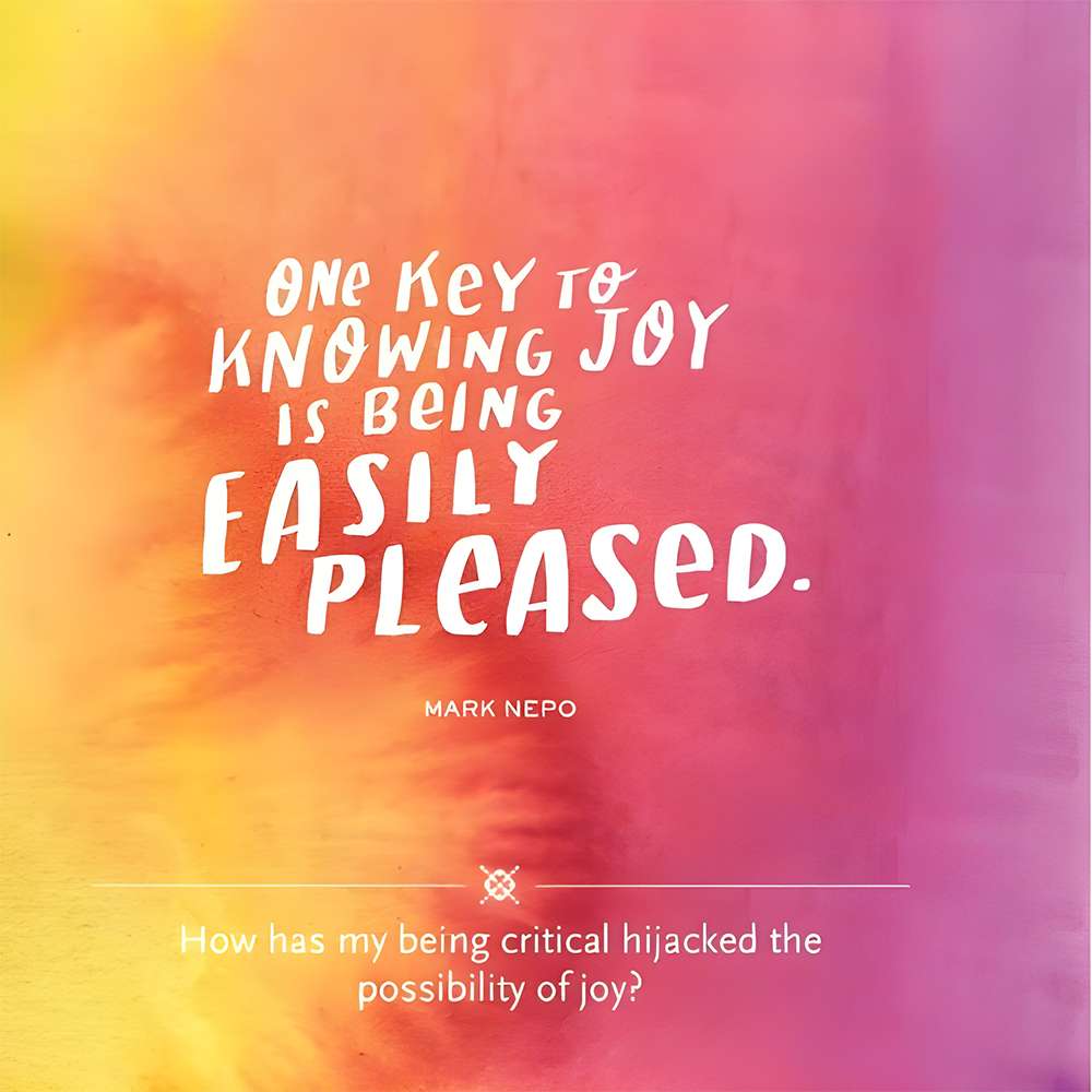 Everyday Gratitude, , large image number 5