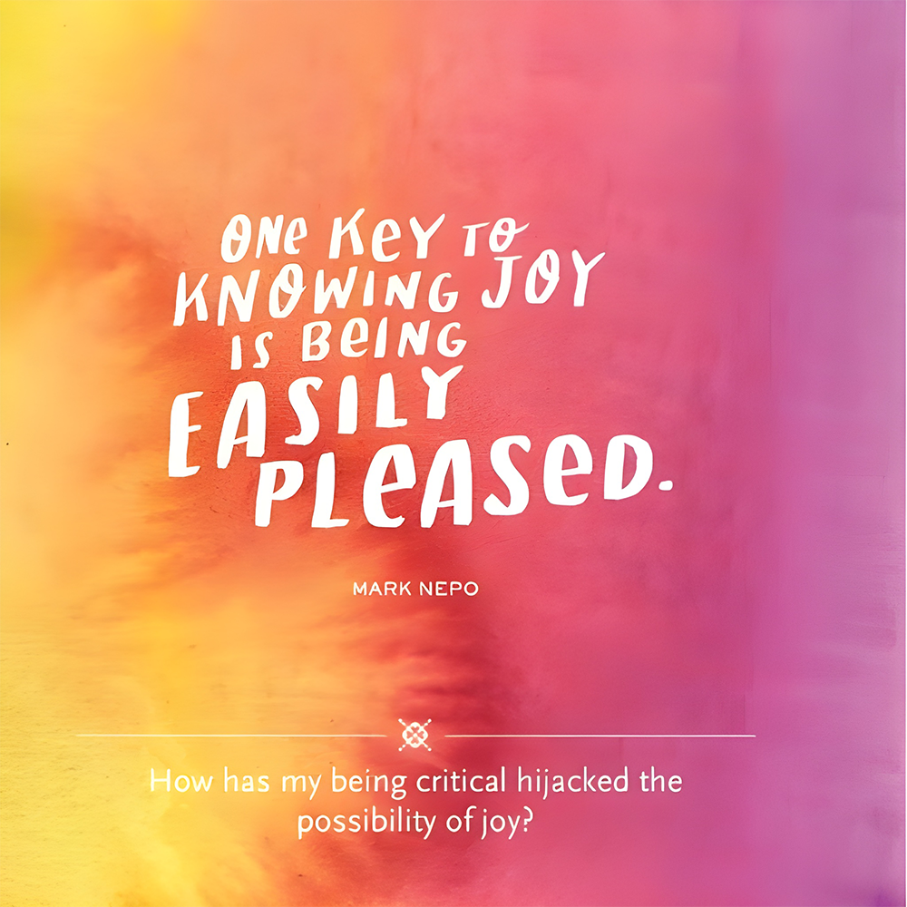 Everyday Gratitude, , large image number 5