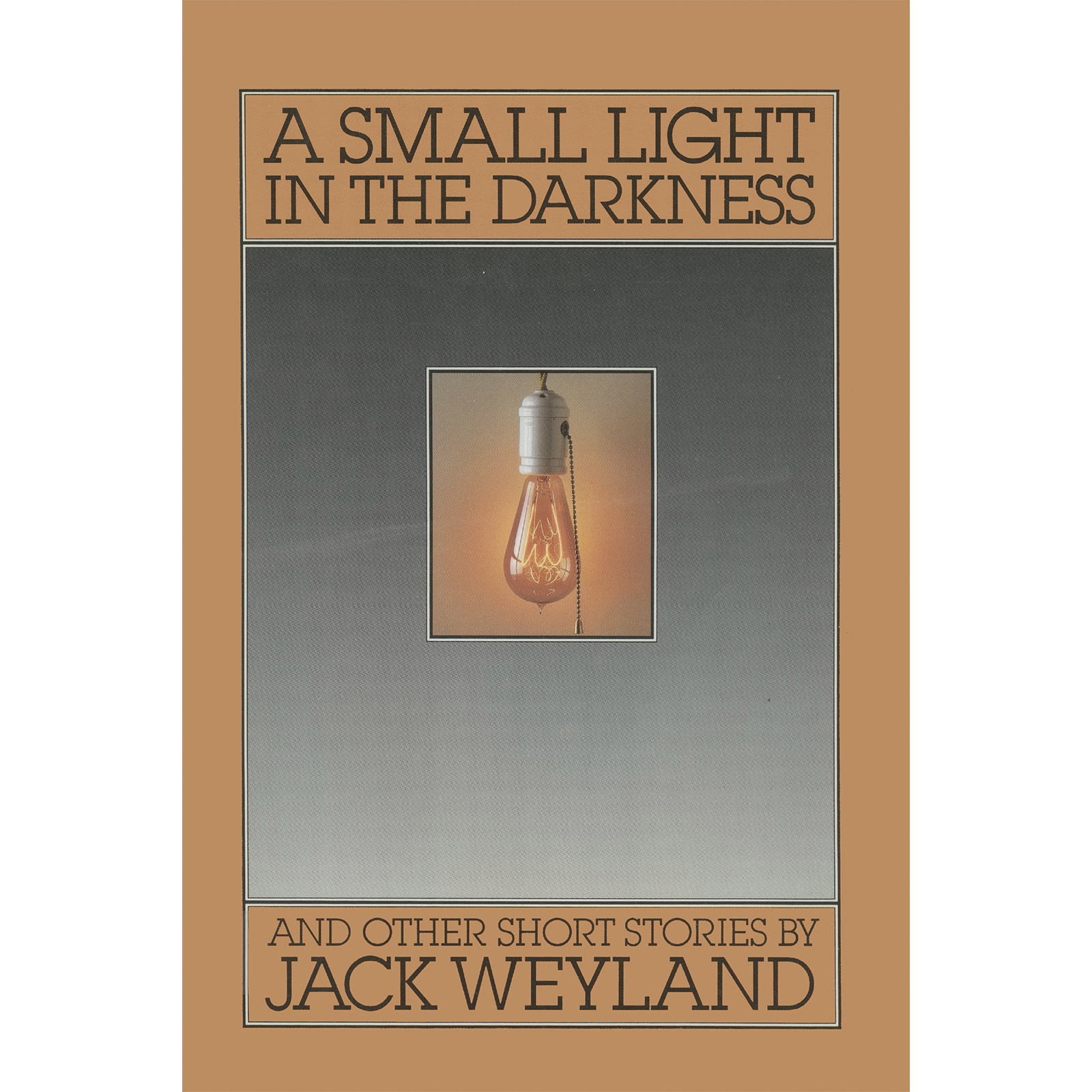 A Small Light in the Darkness and Other Short Stories