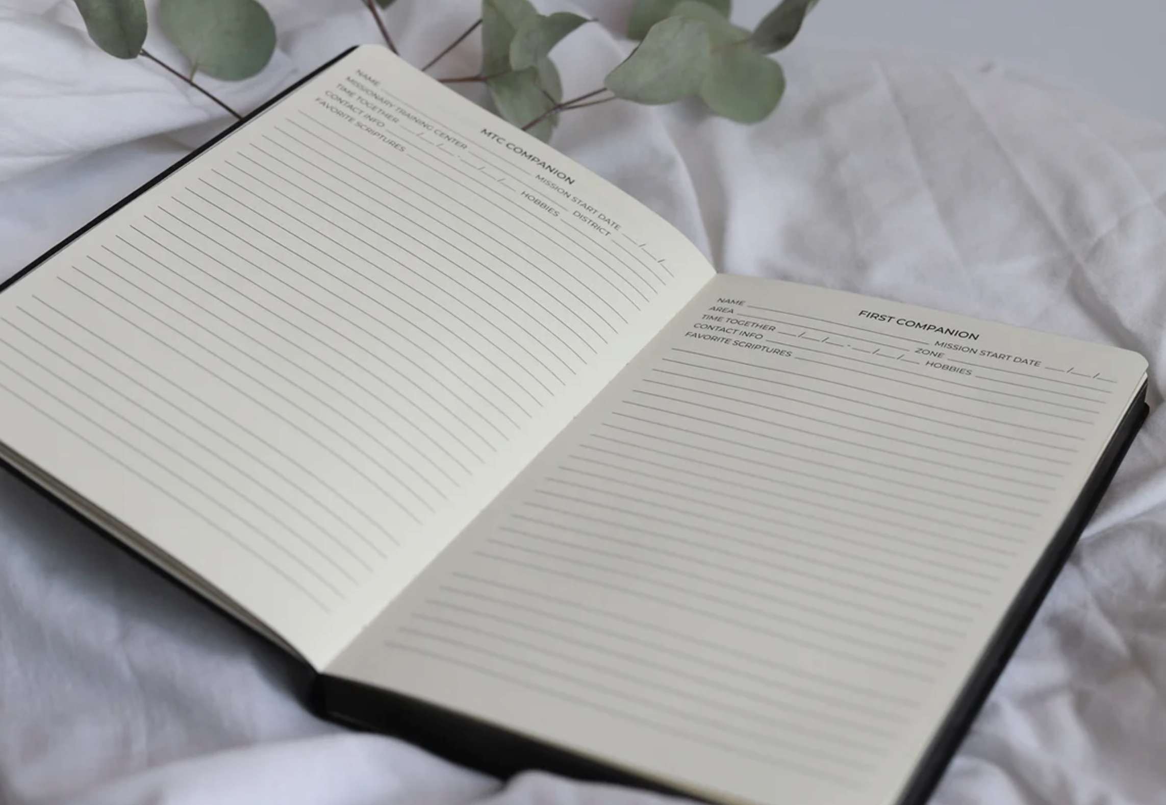 Study Missionary Journal, , large image number 1