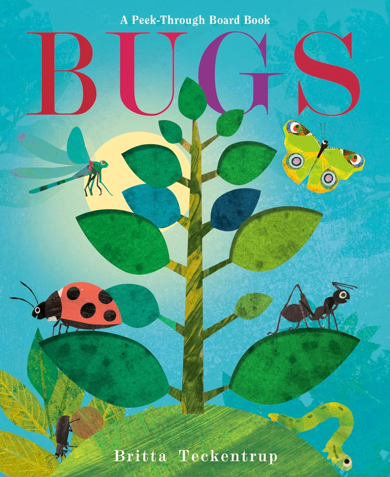 Bugs: A Peek-Through Board Book