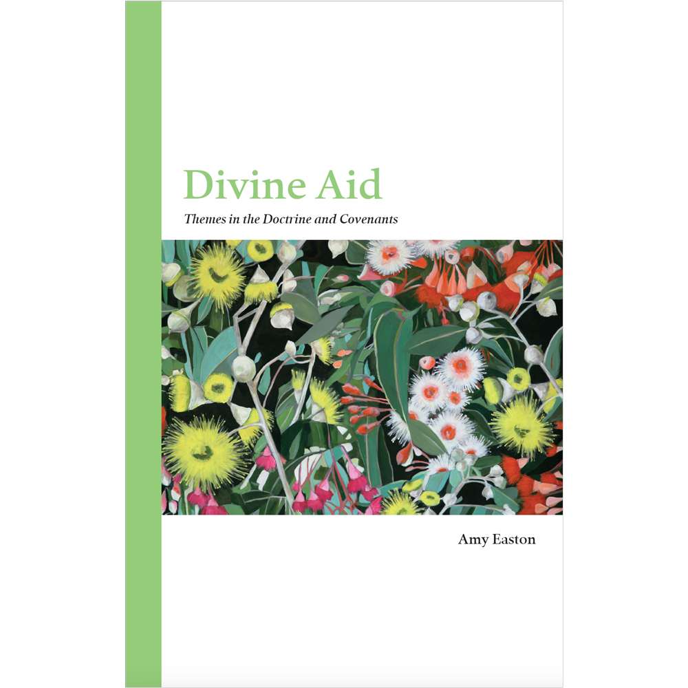 Divine Aid 1
