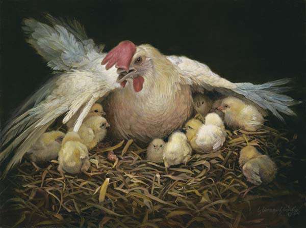 I Would Gather Thee 3x4 Print