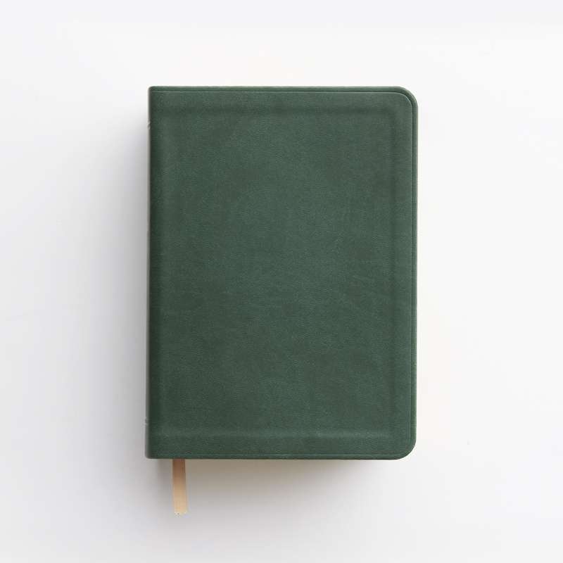 Simulated Leather Quad Combination, Regular (Color Options), , large image number 13