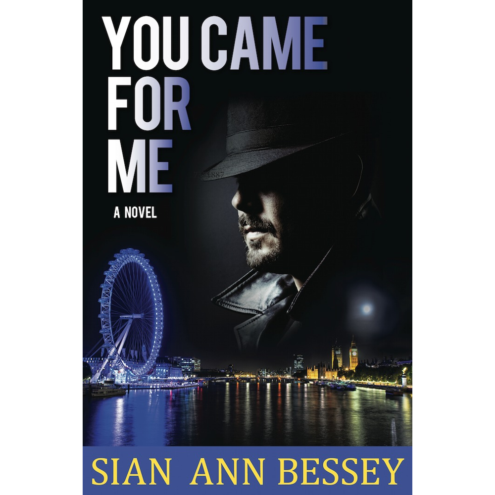 You Came for Me,  You Came for Me