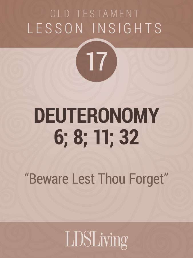 Lesson Insights Old Testament #17
