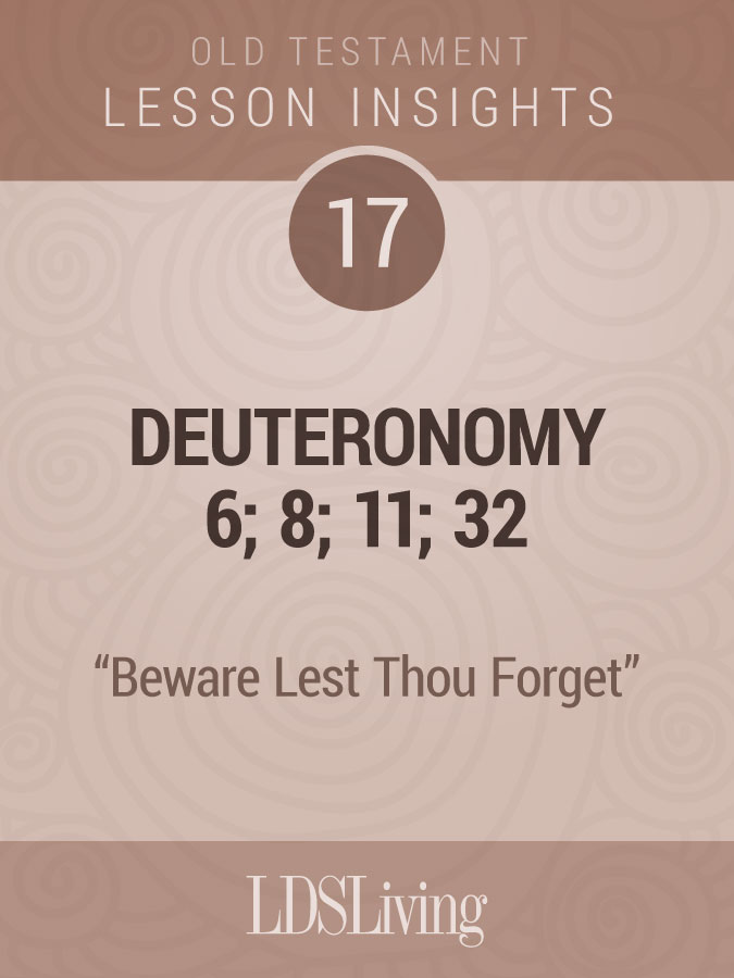 Lesson Insights Old Testament #17
