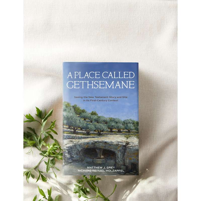 A Place Called Gethsemane, , large image number 9