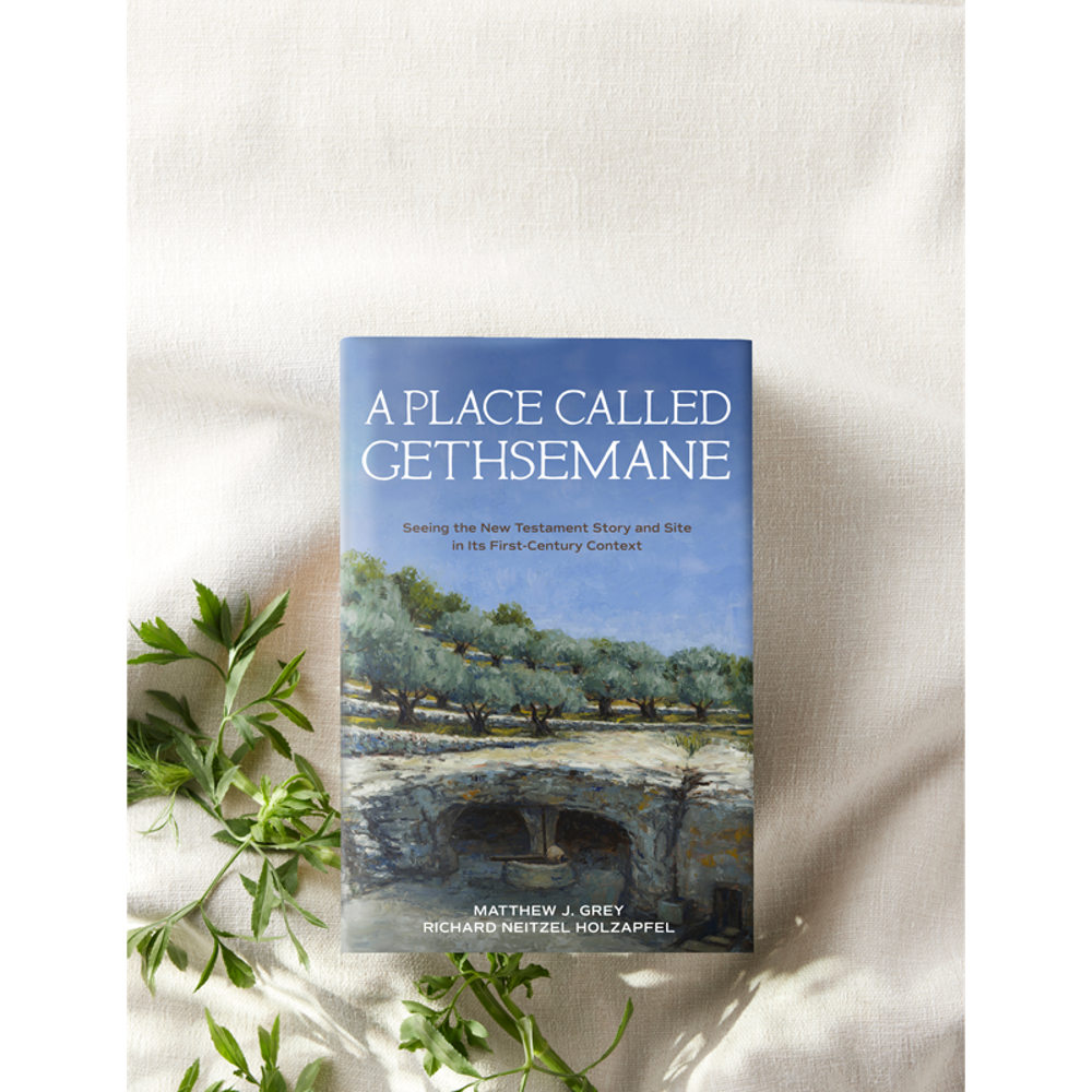 A Place Called Gethsemane, , large image number 9