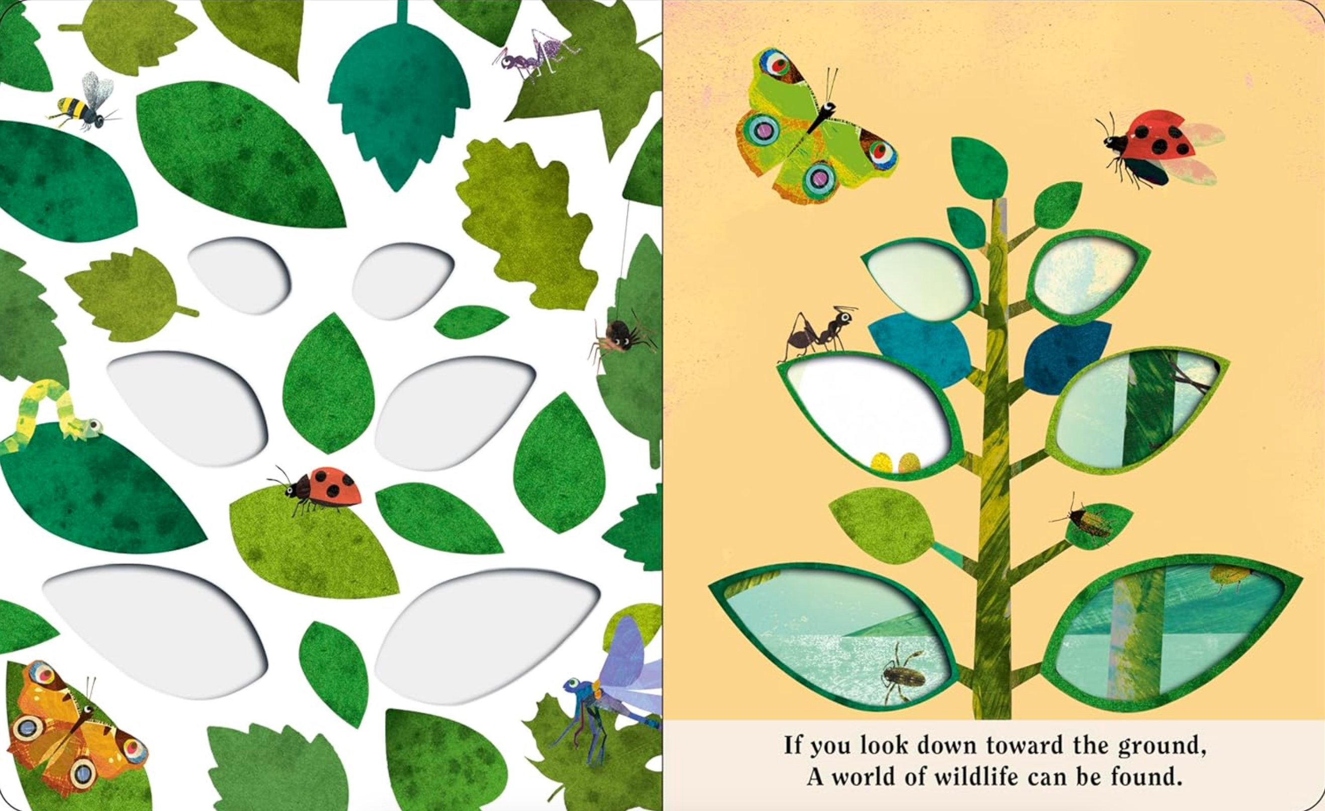 Bugs: A Peek-Through Board Book, , large