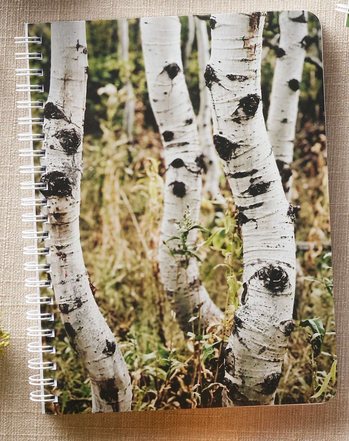 I Can Do All Things Notebook, , large image number 2