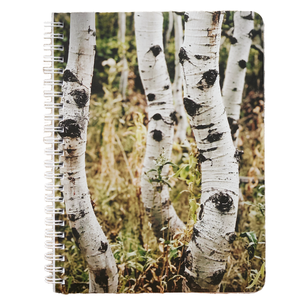 I Can Do All Things Notebook,  I Can Do All Things Notebook